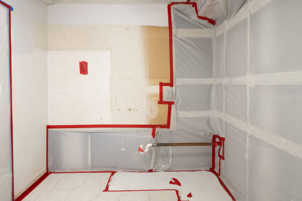 Best Environmental Consulting for Mold Prevention  in Mission Bend, TX