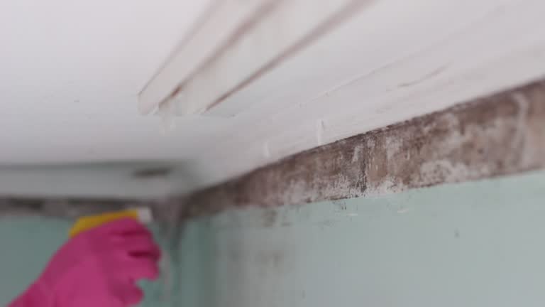 Best Residential Mold Inspection & Testing  in Mission Bend, TX